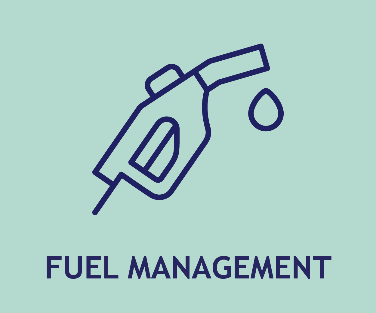 Data-Driven Insights