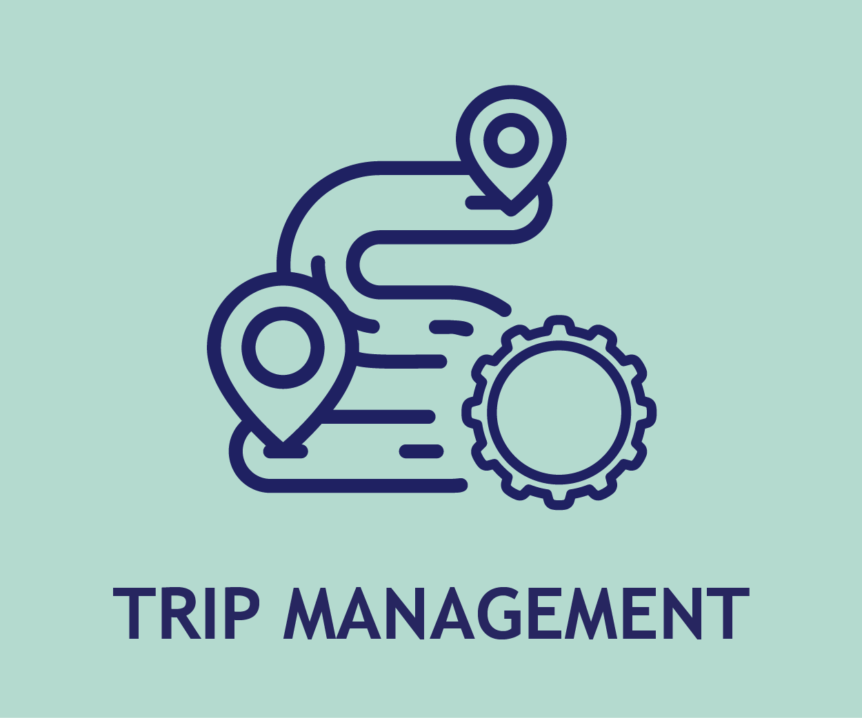 Data-Driven Insights